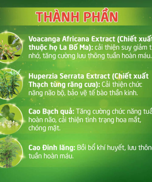 Những thành phần chính có trong sản phẩm hoạt huyết minh não khang extra