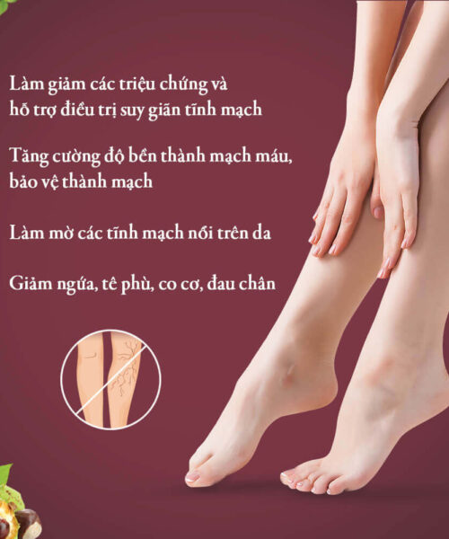 công dụng của viên uống Vascovein