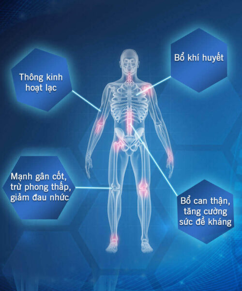công dụng viên uống Xương khớp Dân Khang
