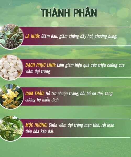 thành phần chính có trong đại tràng dân khang