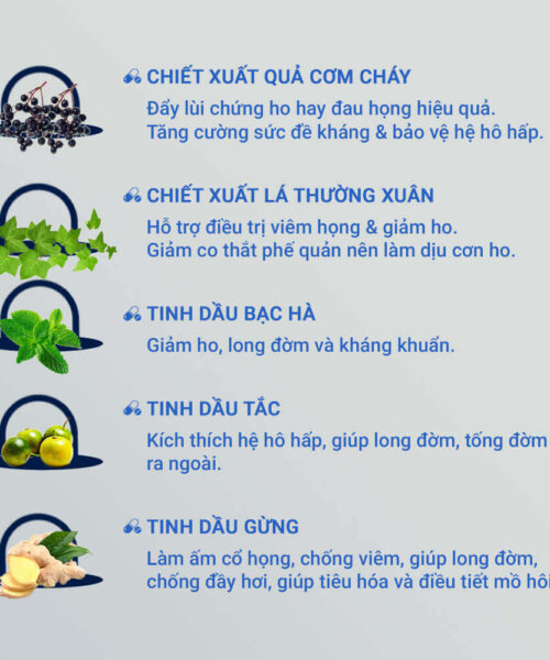 thành phần chính có trong sản phẩm Hotexcol
