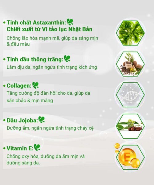 thành phần chính có trong viên serum Oribe
