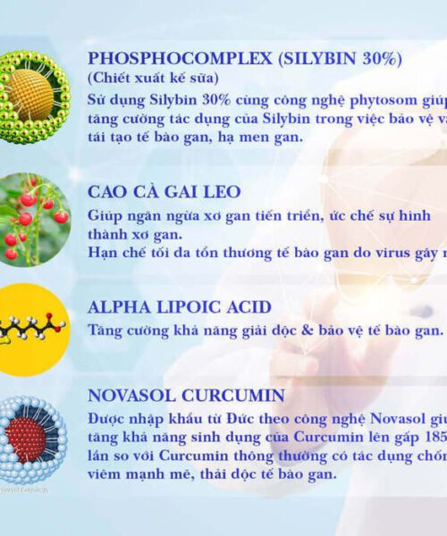 thành phần chính có trong viên uống GoldLiver