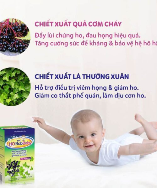 thành phần chính của Siro Ho BobBaby