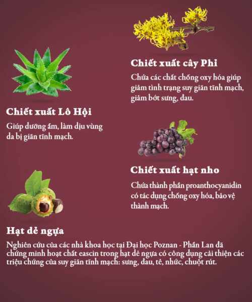 thành phần có trong kem thoa Vascovein