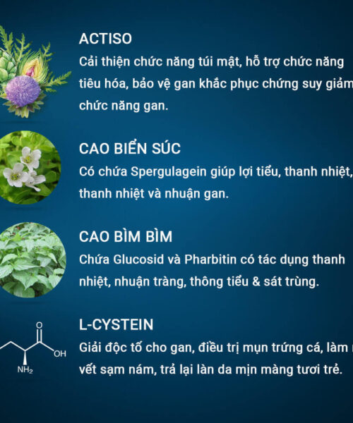 thành phần viên uống Bổ gan Dân Khang