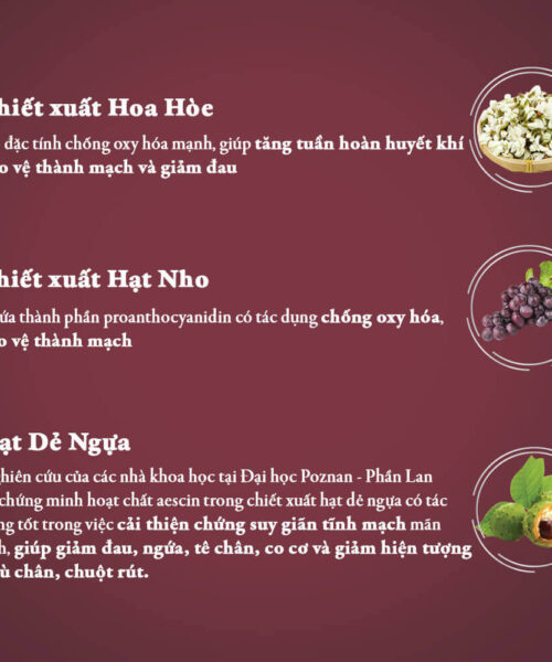 thành phần viên uống Vascovein