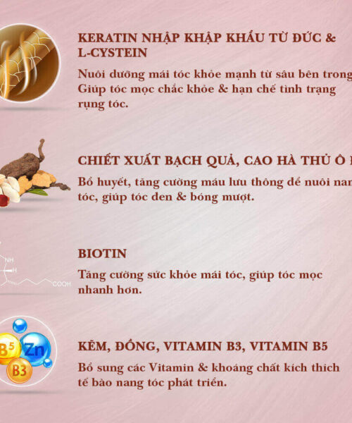 thành phần viên uống Welhair For Women