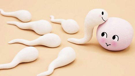 Xuất tinh ngoài âm đạo gần vùng kín thì vẫn có khả năng tinh trùng di chuyển theo tinh dịch để vào âm đạo. - quan hệ cho tinh trùng ra ngoài có thai không